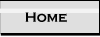 home button